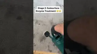 Pet Odor Removal & Urine Decontamination | Ultra Steam Carpet Cleaning in Rocklin, CA