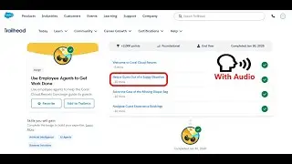 Help a Guest Out of a Soggy Situation | Use Employee Agents to Get Work Done | Trailhead | Sales