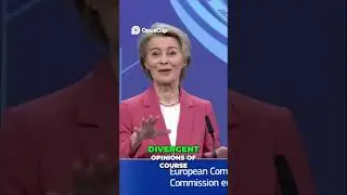 European Leaders United  Key Insights from Budapest Declaration