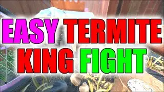 EASY - How To Beat The Termite King - Grounded