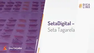 SetaDigital - Seta Tagarela