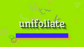 UNIFOLIATE - How to pronounce it?