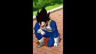 VEGETA FANS.mp4