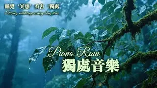 被雨聲擁抱的午後，鋼琴聲隨思緒流動。 An Afternoon Embraced by Rain & Soft Piano Flow #music #rain