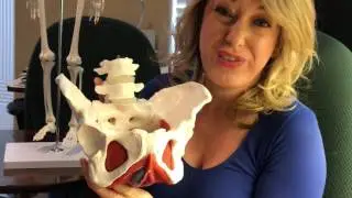 How Working With an Occupational Therapist will Improve Your Pelvic Health
