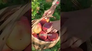 ज़मीन की जड़ और लाल सेब से बना चमत्कारी हेल्दी ड्रिंक | Ancient Herbal Recipe #shorts