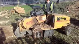 Stumps stompers