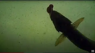 POWERBAIT & ROOSTER TAIL Rigging for Trout | Using Corkies with Powerbait | High Mountain Trout!