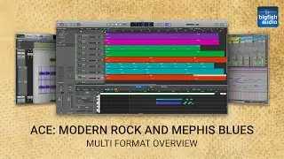 Multi Format Overview - Ace: Modern Rock and Memphis Blues