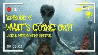 Weird World News Spectacular! - Yeah? What of it? Podcast Episode 17