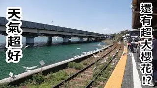 搖曳露營聖地巡禮~濱松/濱名湖/磐田篇