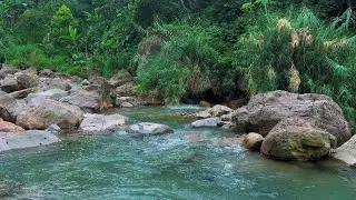 Soothing River Water Ambience for Sleeping | Stress Relief Natural Flowing Stream Sounds | 4K-HDR