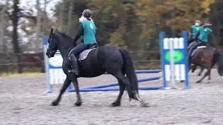 Ruiterbewijs 2018