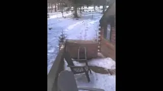 Deer Creek Cabin - Outside #2