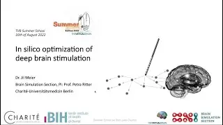 In silico optimization of deep brain stimulation - Dr. Jil Meier
