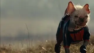 Deadpool and Wolverine but only when Dogpool is on screen