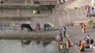 Pushkar (Rajasthan)