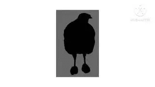 Guess the Turkey BREEDS by Shadow | Facts Challenge 