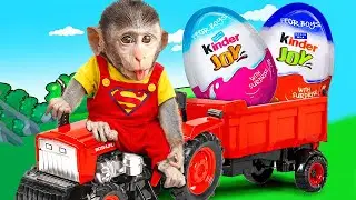 Monkey Baby Mimi receives a giant candy egg in the candy vending machine | Mimi Money Life