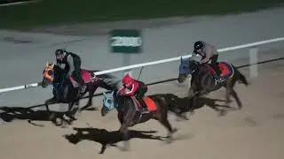 THUNDER HORSE