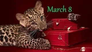 Jewelry Luxury gift for March 8