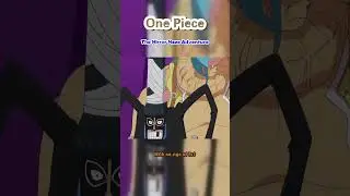 One Piece | The Mirror Maze Adventure