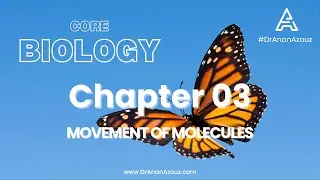 Chapter 03 Movement of molecules IGCSE Core Biology Made Easy