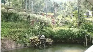 Cool Spring Rest Guesthouse - Badulla - Sri Lanka