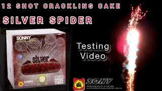 Silver Spider  from Sony Vinayaga Fireworks - 12 Shots Skyshot Diwali Testing
