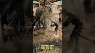 Korps Marinir untuk Negara..!! Tanpa kenal lelah