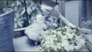 Winterzeit ist Saunazeit