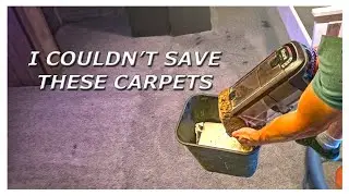 I Couldnt Save These Carpets