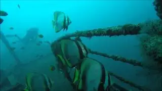 Scuba Diving at Kubu wreck in Bali