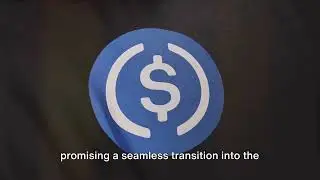 These Centralized Stablecoins: The Rise of PYUSD - Yuck!