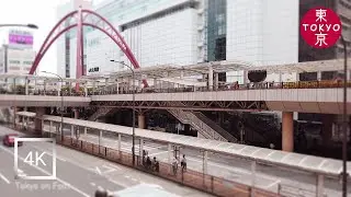 Japan | Walk around 