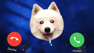 Apple ☎️📞Ringtone iphone Hello listen 🔥#pro #iphone #dog ep.59.           dogy pic dogy ring tone