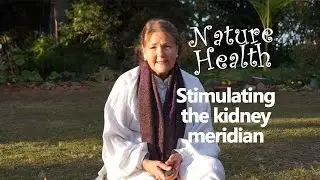 How to stimulate the kidney meridian - self healing
