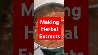 Herbal Extract #shorts #viralvideo  #researchanddevelopment