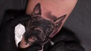 Dog portrait - Tattoo time lapse