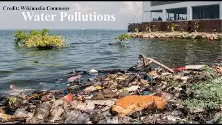 water pollution in hindi| jal pradushan| pollution of water| जल प्रदूषण|