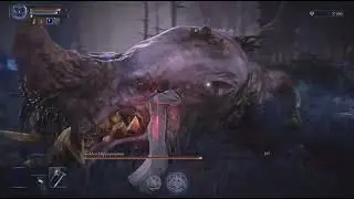 ELDEN RING NIGHTREIGN Scholar Solo Expedition against Straghess The Dreglord