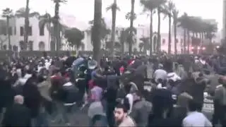 The Kominas - Tahrir Square Dance
