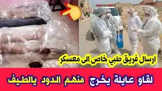 عاجل جدا 🔴 الدولة ترسل فريق طبي خاص الى معسكر بعد خروج الدود و الديدان من اجسام عائلة في المحمدية