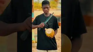 SPARK WYATT GBETA ( VIRAL VIDEO)