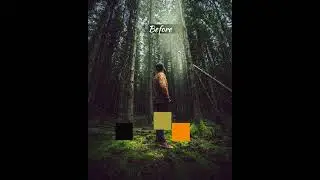 VN App trending photo colour grading #shortsfeed #editor