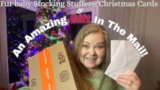 Stocking Stuffers for Whiskey | Christmas Cards | Amazing Christmas Gift- Thank you! 🎄