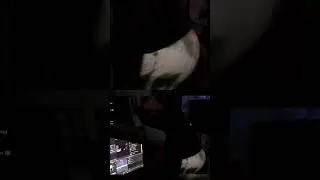 They Thought Stream Was Over ✨Dat Ass Though✨