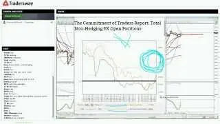 Forex Trading Strategy Session: Hedge Fund Position Review