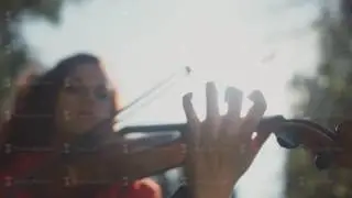 Close-up of a violin soundboard. The strings and the bow
