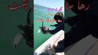 Makran, Persian Sea: The Direct Arm of Indian Ocean in Iran